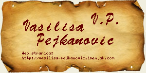 Vasilisa Pejkanović vizit kartica